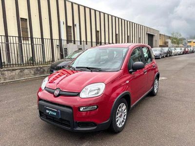 Usata Fiat Panda S 69 CV (50 kW) 2024 Rosso Utilitaria