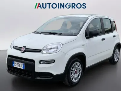 Usata Fiat Panda S 69 CV (50 kW) 2024 Bianco Utilitaria