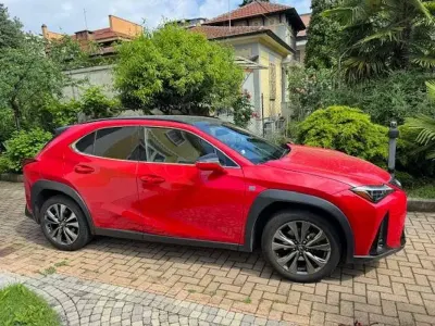 Usata Lexus UX 250h 145 CV (106 kW) 2024 Rosso SUV