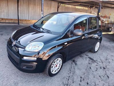 Usata Fiat Panda Lounge 69 CV (50 kW) 2020 Nero Utilitaria