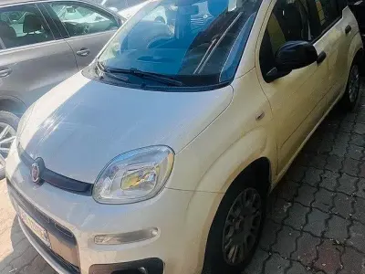 Usata Fiat Panda Lounge 69 CV (50 kW) 2016 Bianco Utilitaria