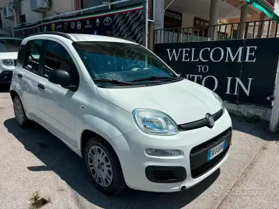 Usata Fiat Panda Lounge 75 CV (55 kW) 2014 Bianco Utilitaria