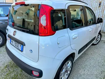 Usata Fiat Panda 69 CV (50 kW) 2017 Bianco Utilitaria