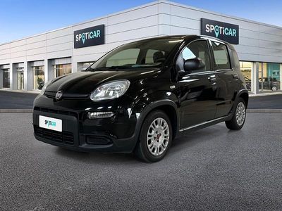 Usata Fiat Panda S 70 CV (51 kW) 2023 Bianco Utilitaria
