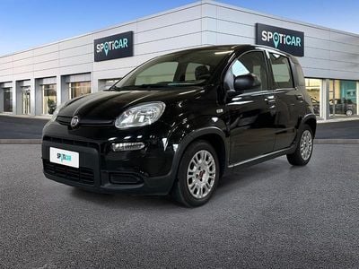 Usata Fiat Panda S 70 CV (51 kW) 2023 Bianco Utilitaria