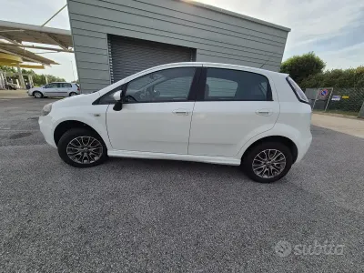Usata Fiat Punto Lounge 77 CV (56 kW) 2013 Bianco Utilitaria