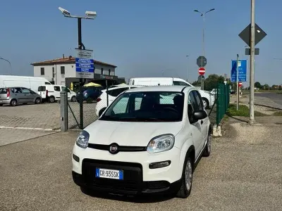 Usata Fiat Panda City Life 69 CV (50 kW) 2023 Bianco Utilitaria