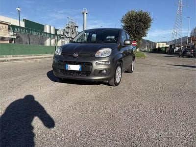 Usata Fiat Panda 69 CV (50 kW) 2021 Grigio Utilitaria