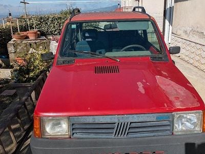 Usata Fiat Panda 4x4 50 CV (36 kW) 2002 Utilitaria