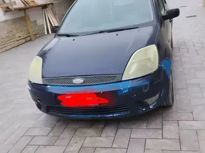 Usata Ford Fiesta