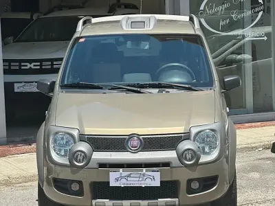 Usata Fiat Panda 4x4 Cross 69 CV (50 kW) 2009 Marrone Utilitaria