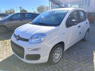 Nuova Fiat Panda 69 CV (50 kW) 2025 Bianco gelato Utilitaria