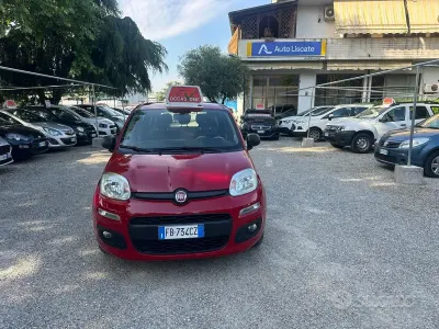 Usata Fiat Panda Lounge 69 CV (50 kW) 2015 Rosso Utilitaria