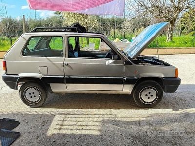 Usata Fiat Panda 54 CV (39 kW) 2001 Grigio Utilitaria