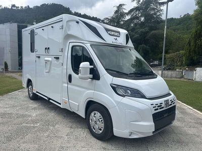 Nuova Fiat Ducato 179 CV (131 kW) 2025 Verde Furgone