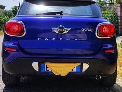 Mini Paceman