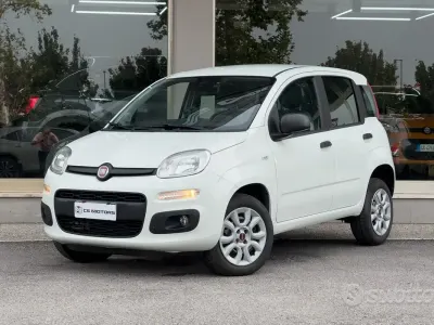 Usata Fiat Panda Lounge 70 CV (51 kW) 2020 Bianco Utilitaria