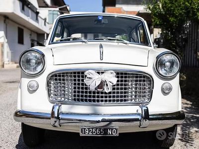 Usata Fiat 1100 1960 Bianco