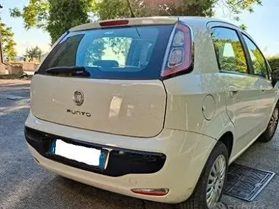 Occasion Fiat Punto 69 ch (50 kW) 2011 Blanc Citadine