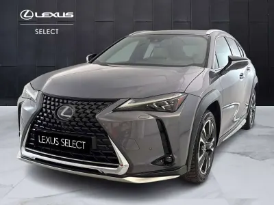 Usata Lexus UX Luxury Line 145 CV (106 kW) 2019 Grigio SUV