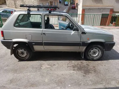 Usata Fiat Panda 4x4 Trekking 54 CV (39 kW) 2002 Utilitaria