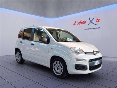 Usata Fiat Panda Easy 69 CV (50 kW) 2020 Bianco Utilitaria