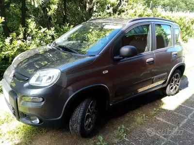 Usata Fiat Panda 4x4 S 95 CV (69 kW) 2017 Marrone Utilitaria