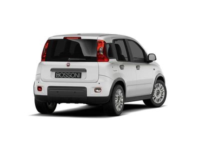 Nuova Fiat Panda Icon 65 CV (47 kW) 2026 Bianco Utilitaria