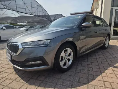 Usata Skoda Octavia Ambition 116 CV (85 kW) 2023 Grigio Station wagon