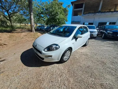 Usata Fiat Punto Lounge 75 CV (55 kW) 2014 Bianco Utilitaria