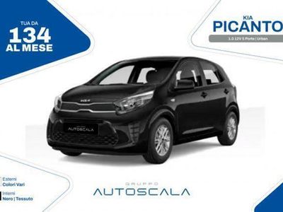 usata Kia Picanto 1.0 12V 5 porte Urban Pozzuoli