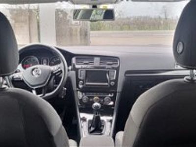 usata VW Golf VII 1.6 TDI 5p. Trendline BlueMotion Technology