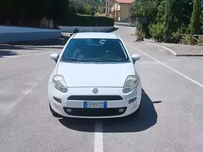 Usata Fiat Punto Lounge 77 CV (56 kW) 2014 Bianco Utilitaria