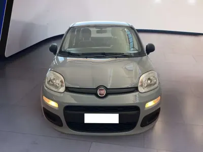Usata Fiat Panda Easy 69 CV (50 kW) 2020 Grigio Utilitaria