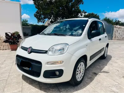 Usata Fiat Panda 75 CV (55 kW) 2014 Bianco Utilitaria