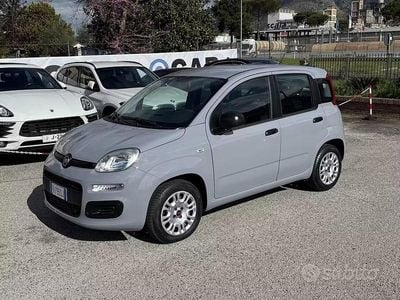 Usata Fiat Panda 69 CV (50 kW) 2019 Grigio Utilitaria