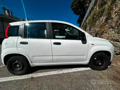 Usata Fiat Panda Lounge 69 CV (50 kW) 2017 Bianco Utilitaria