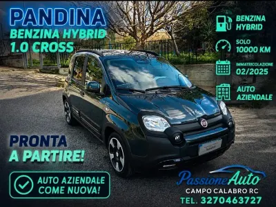 Usata Fiat Panda S 69 CV (50 kW) 2025 Verde Utilitaria