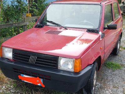 usata Fiat Panda 900