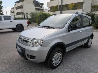 Usata Fiat Panda 4x4 Climbing 69 CV (50 kW) 2011 Argento Utilitaria