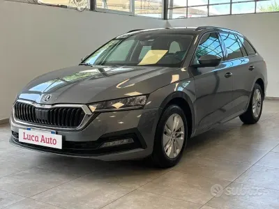 Usata Skoda Octavia