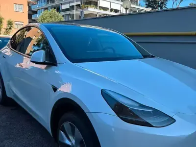 Usata Tesla Model Y