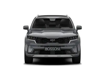 Usata Kia Sorento