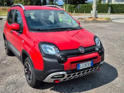 Usata Fiat Panda Cross