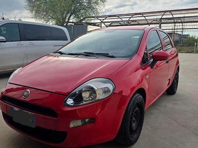 Usata Fiat Punto 90 CV (66 kW) 2017 Rosso Utilitaria