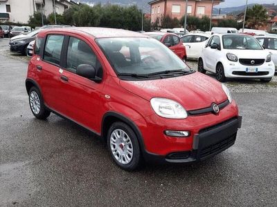 usata Fiat Panda Panda 1.0 70cv hybrid