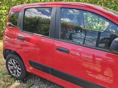 Usata Fiat Panda 4x4 S 80 CV (58 kW) 2017 Rosso Utilitaria