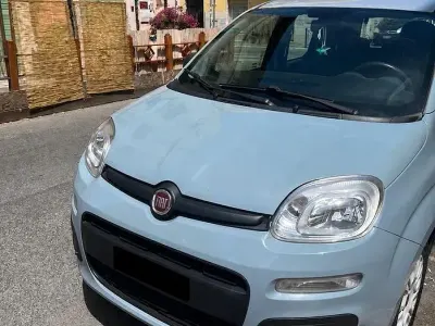 Usata Fiat Panda Easy 69 CV (50 kW) 2019 Grigio Utilitaria