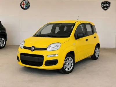 Usata Fiat Panda