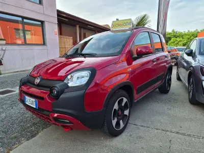 Usata Fiat Panda Cross Cross 69 CV (50 kW) 2024 Rosso Utilitaria